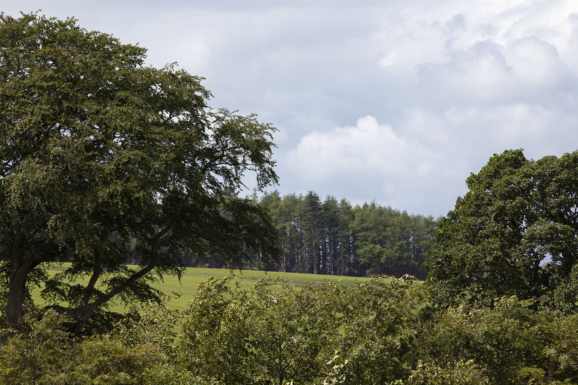 Dunnottar Park | Phase 1