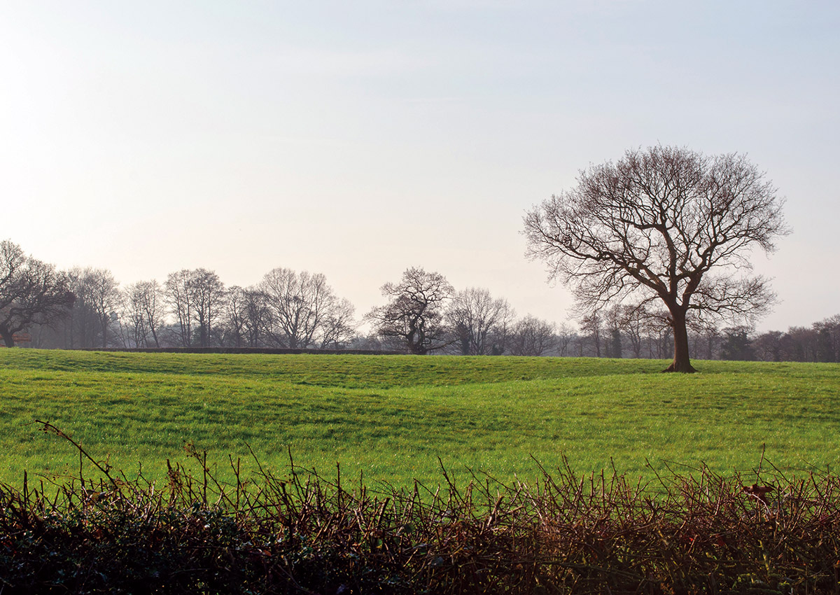 Discover Broughton Park
