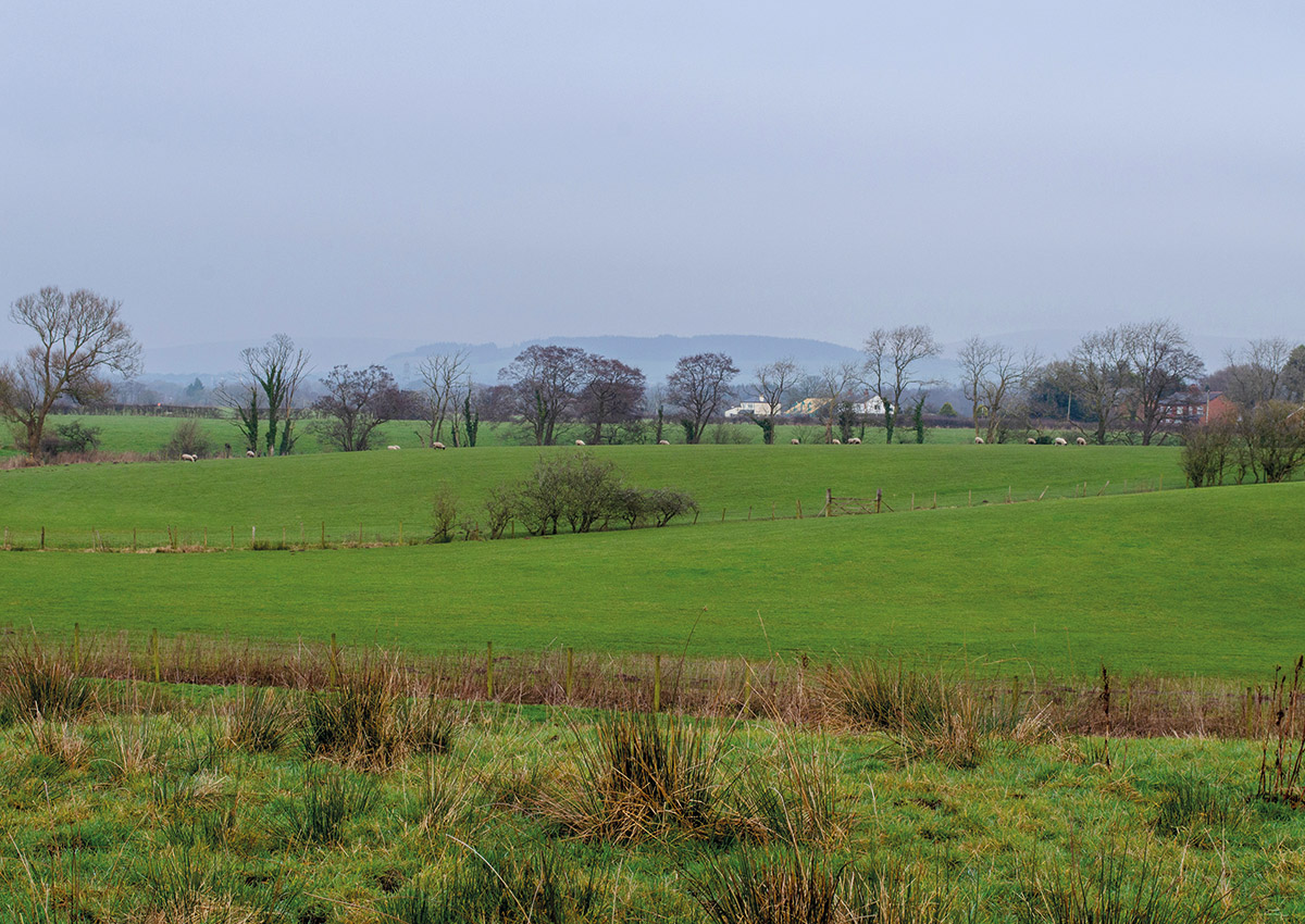 Discover Broughton Park