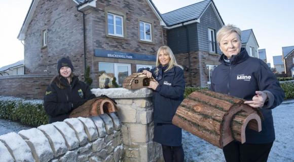 Homes for hedgehogs with the Conservation volunteers