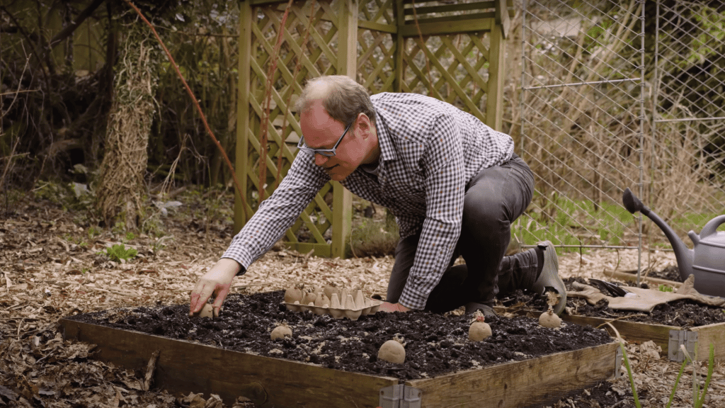 Planting-Potatoes