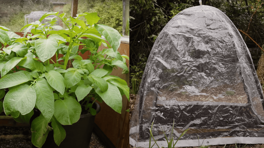 Pre-Warming-Soil