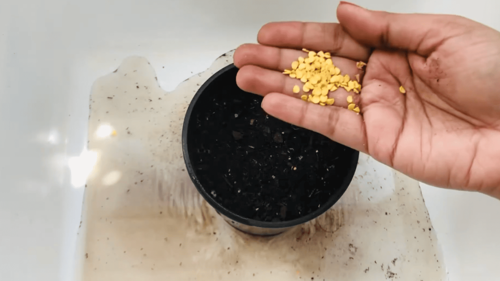 Prepare-Seeds