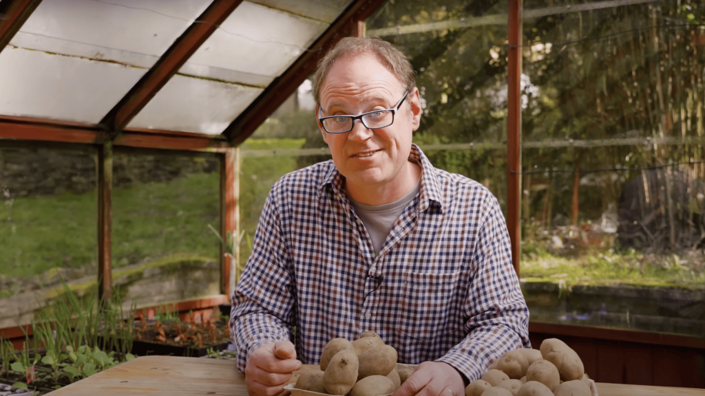 Seed-Potatoes