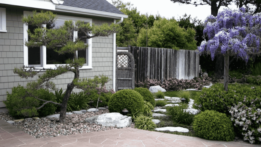 Plants-in-a-Japanese-Garden