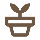 Plant Care & Growing