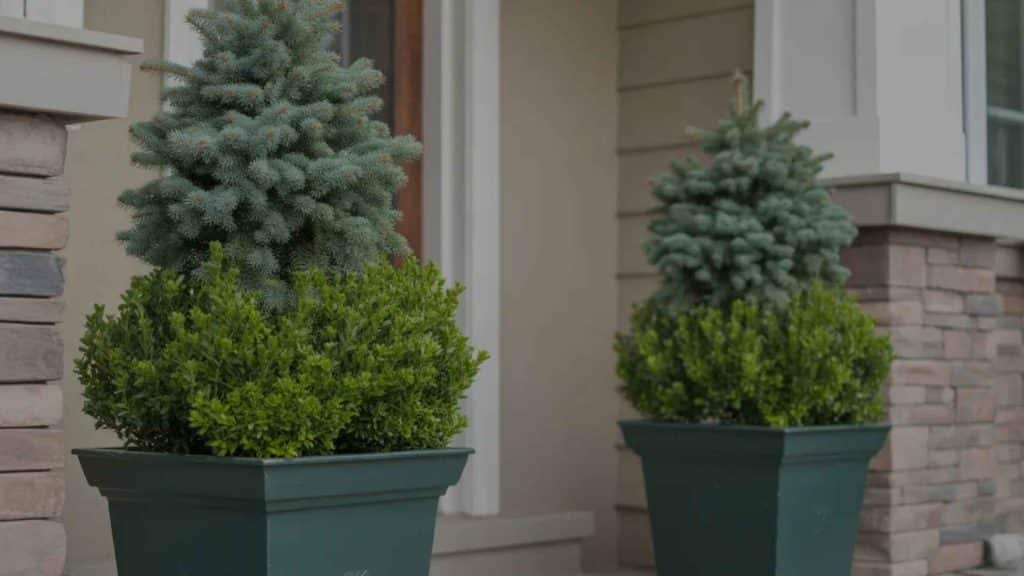 Evergreen Porch Planters for Year Round Structure