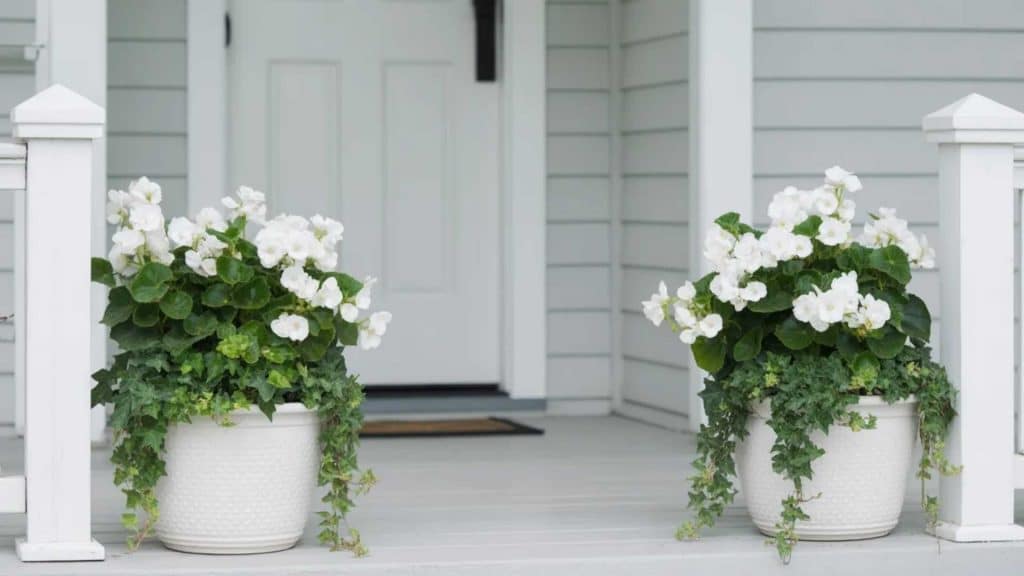 Monochrome White and Green Porch Planters