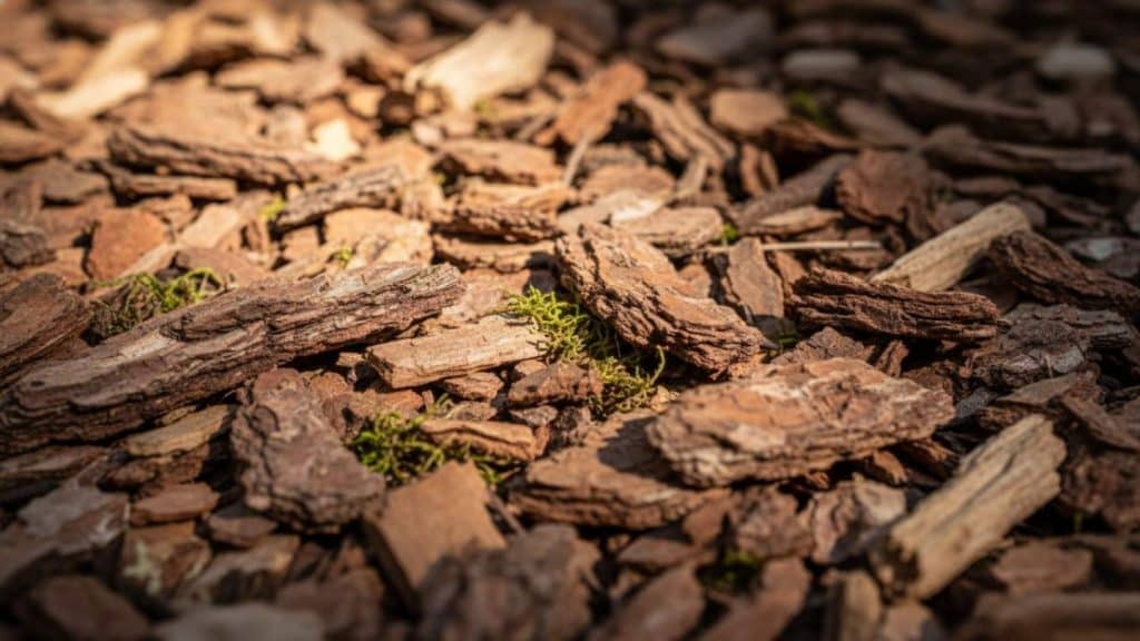 close-up-of-natural-wood-mulch-made-of-bark-chips-used-for-garden-landscaping-and-soil-protection