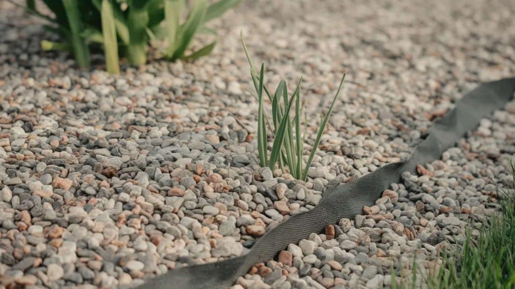 A close-up of a thick, even layer of gray and brown gravel covering a garden bed with green plant stems growing through the surface