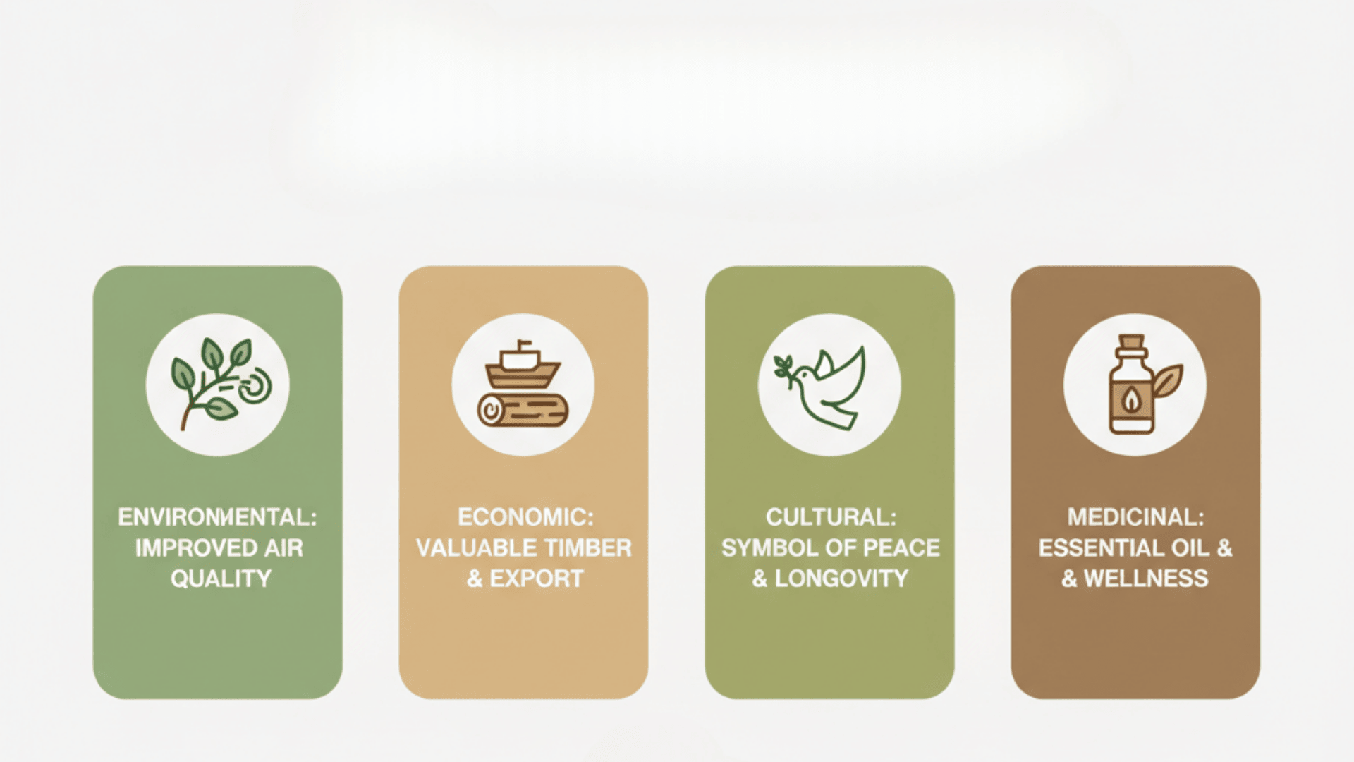 Benefits of the Lebanese cedar infographic showing environmental, economic, cultural, and medicinal benefits.