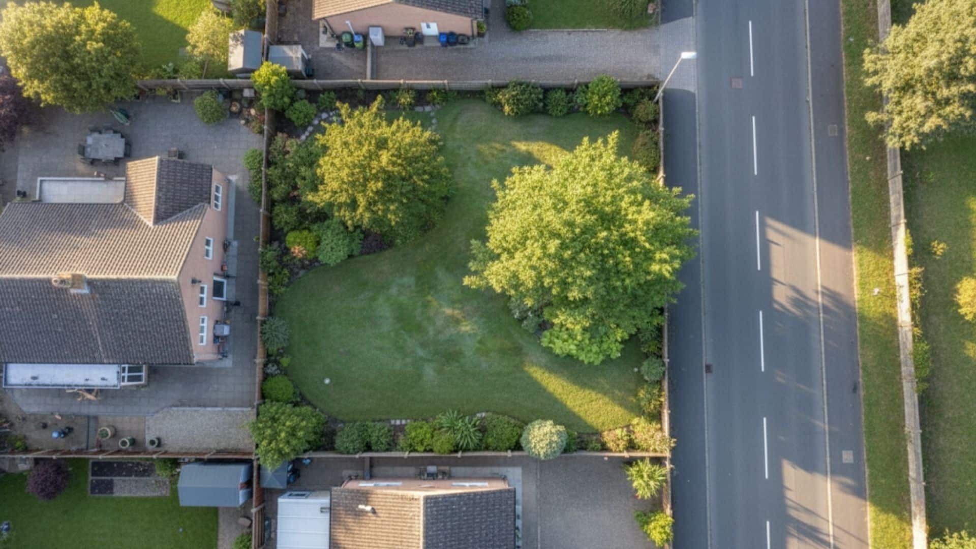 ground-cover-east-facing-garden