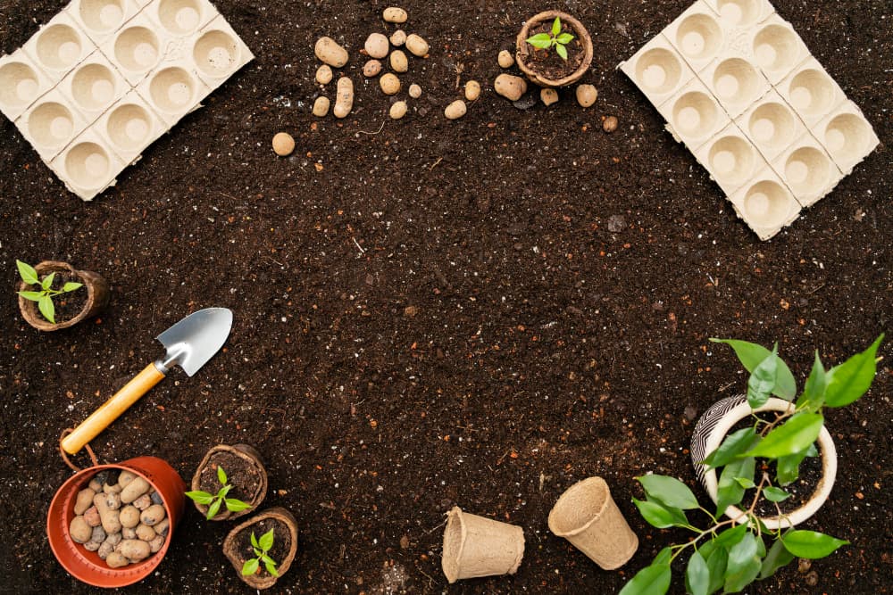 Gardening tools and seedlings arranged on a soil background.