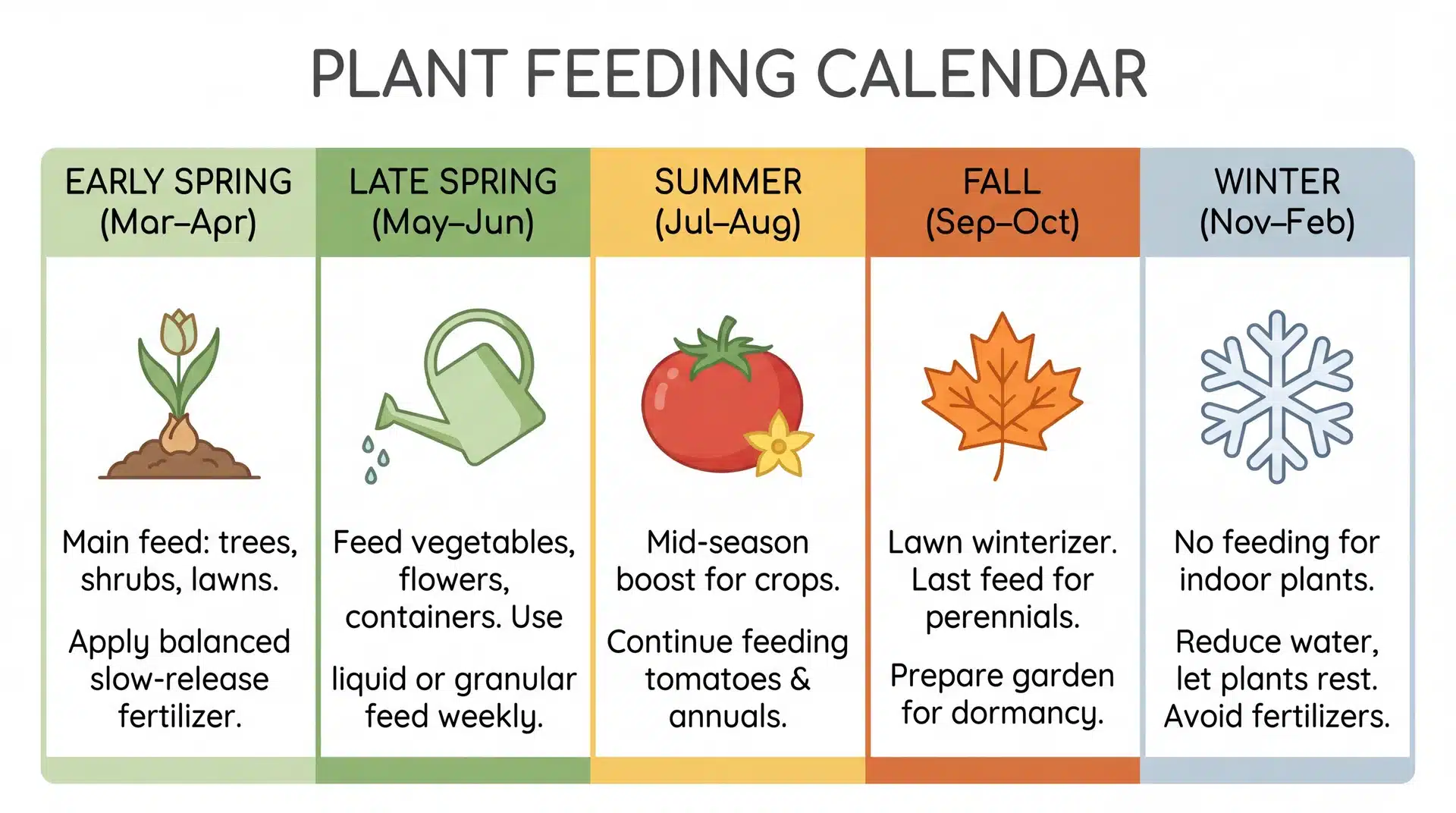 A plant feeding calendar showing the best times to fertilize plants throughout the year, with specific advice.