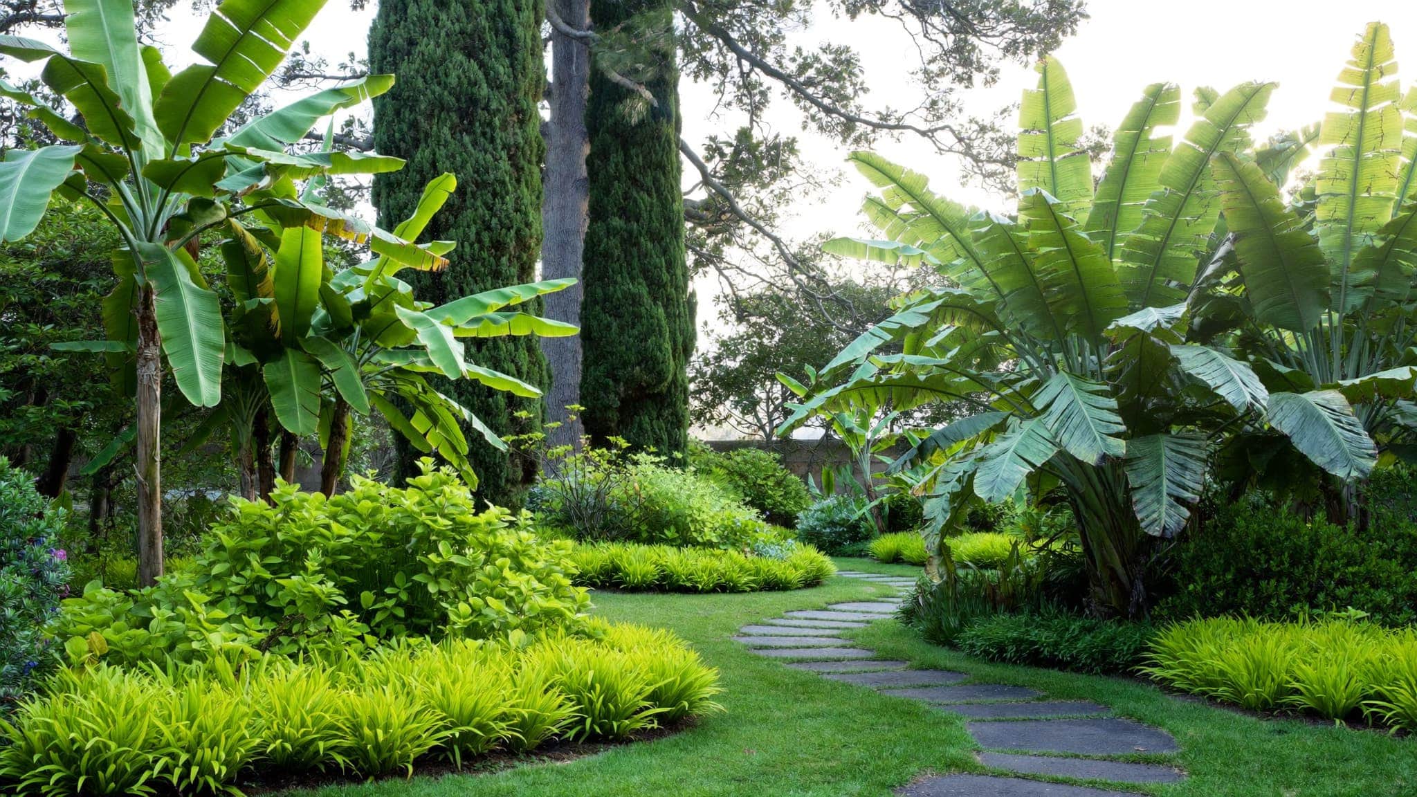 Tropical garden landscape with lush greenery, large leafy plants, and a winding stone pathway.
