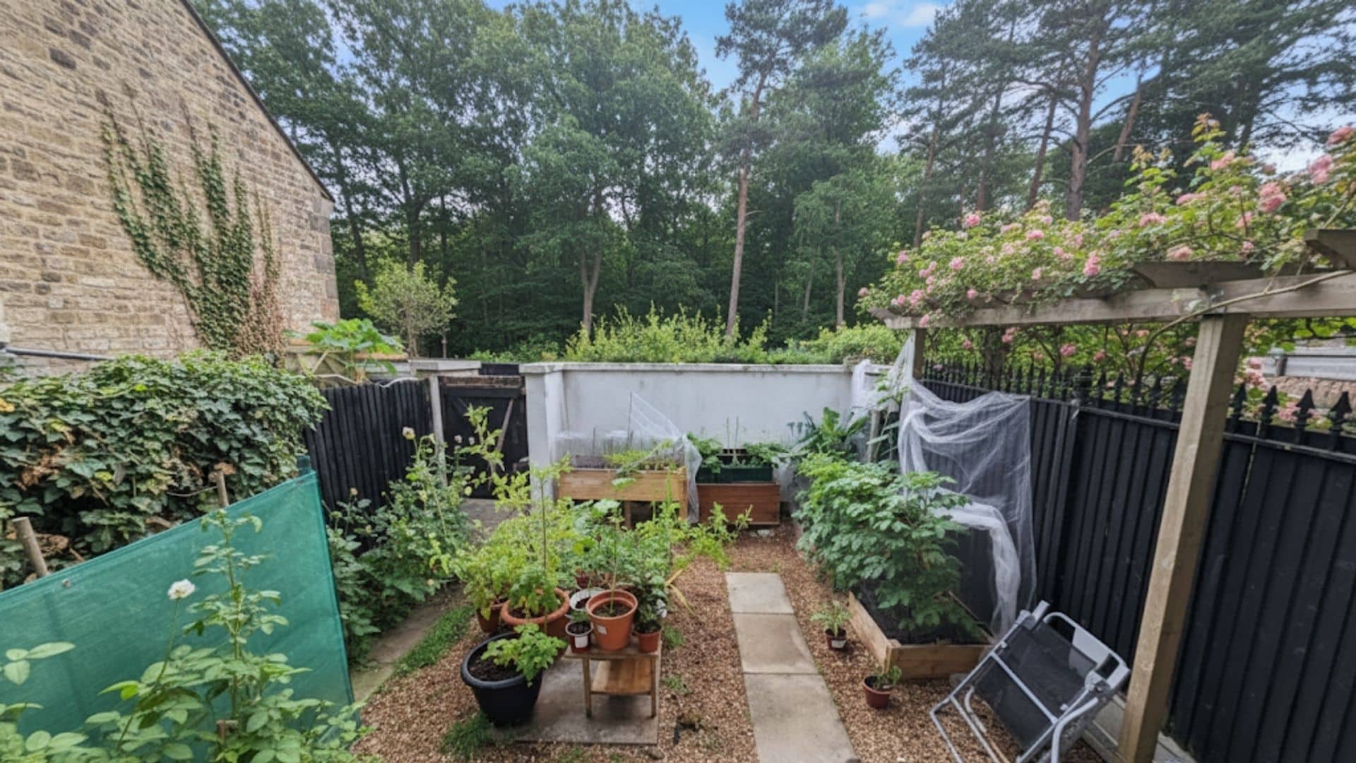 vegetables-herbs-east-facing-garden