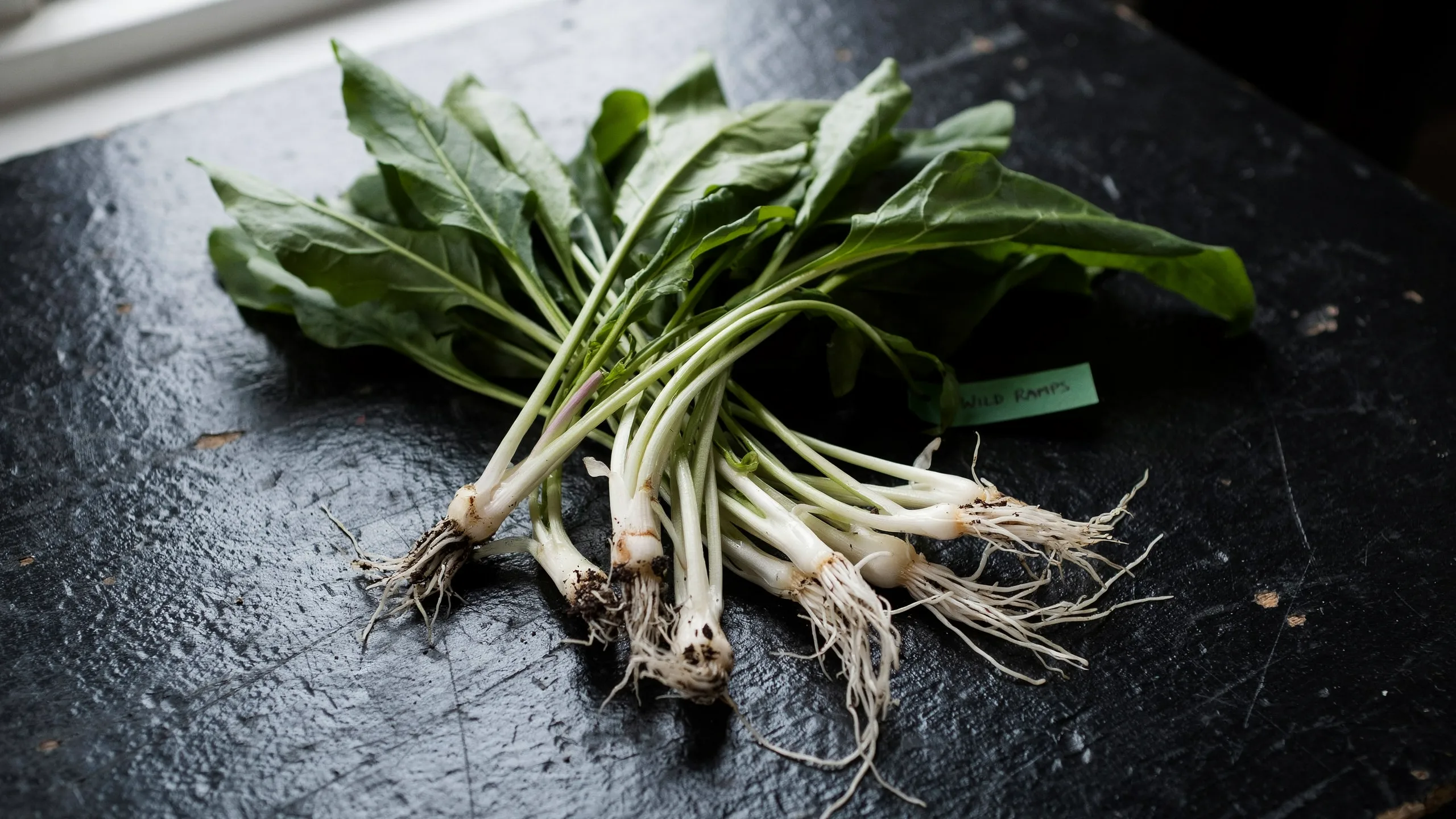 garlic bulbs with their roots still attached, lying on a black textured surface.