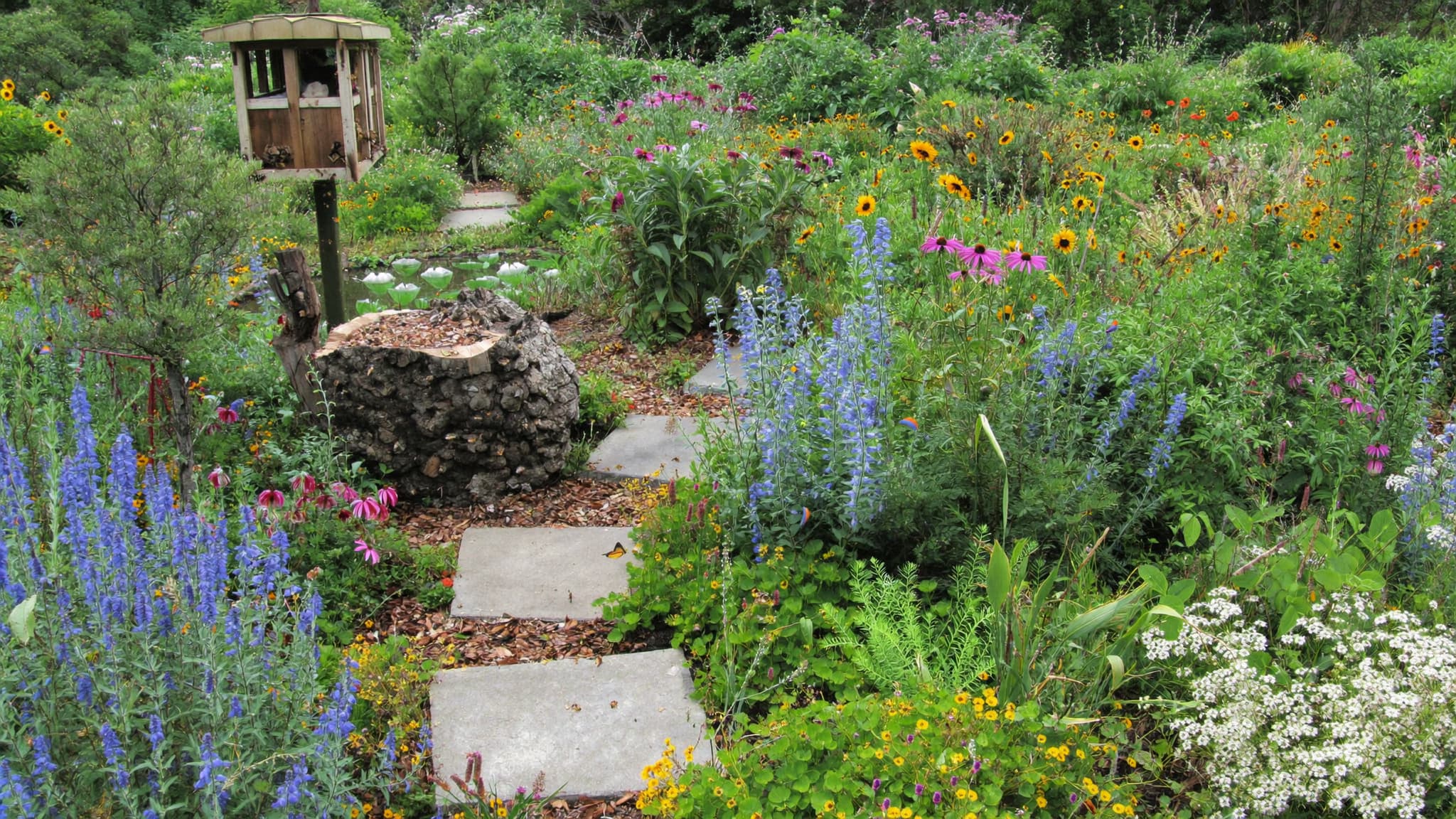 Wildflower garden with colorful blooms, stone stepping path, and natural cottage-style landscaping.