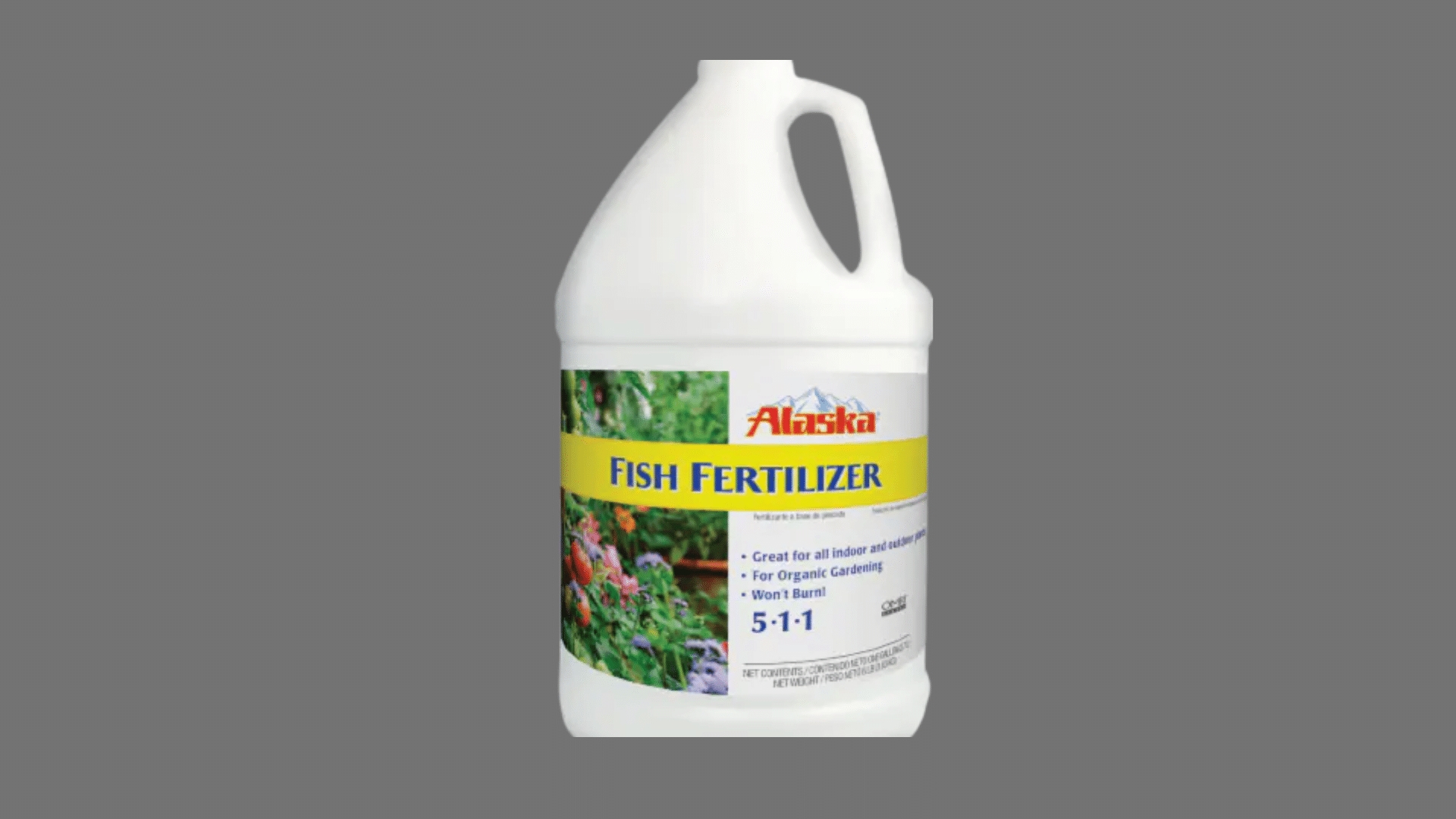 Vegetable garden with Alaska Fish Emulsion (5-1-1) being poured as liquid fertilizer near plant roots with labeled container