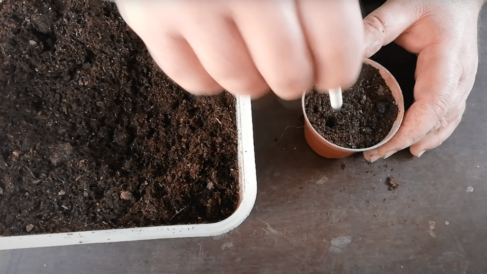 Create-Planting-Holes