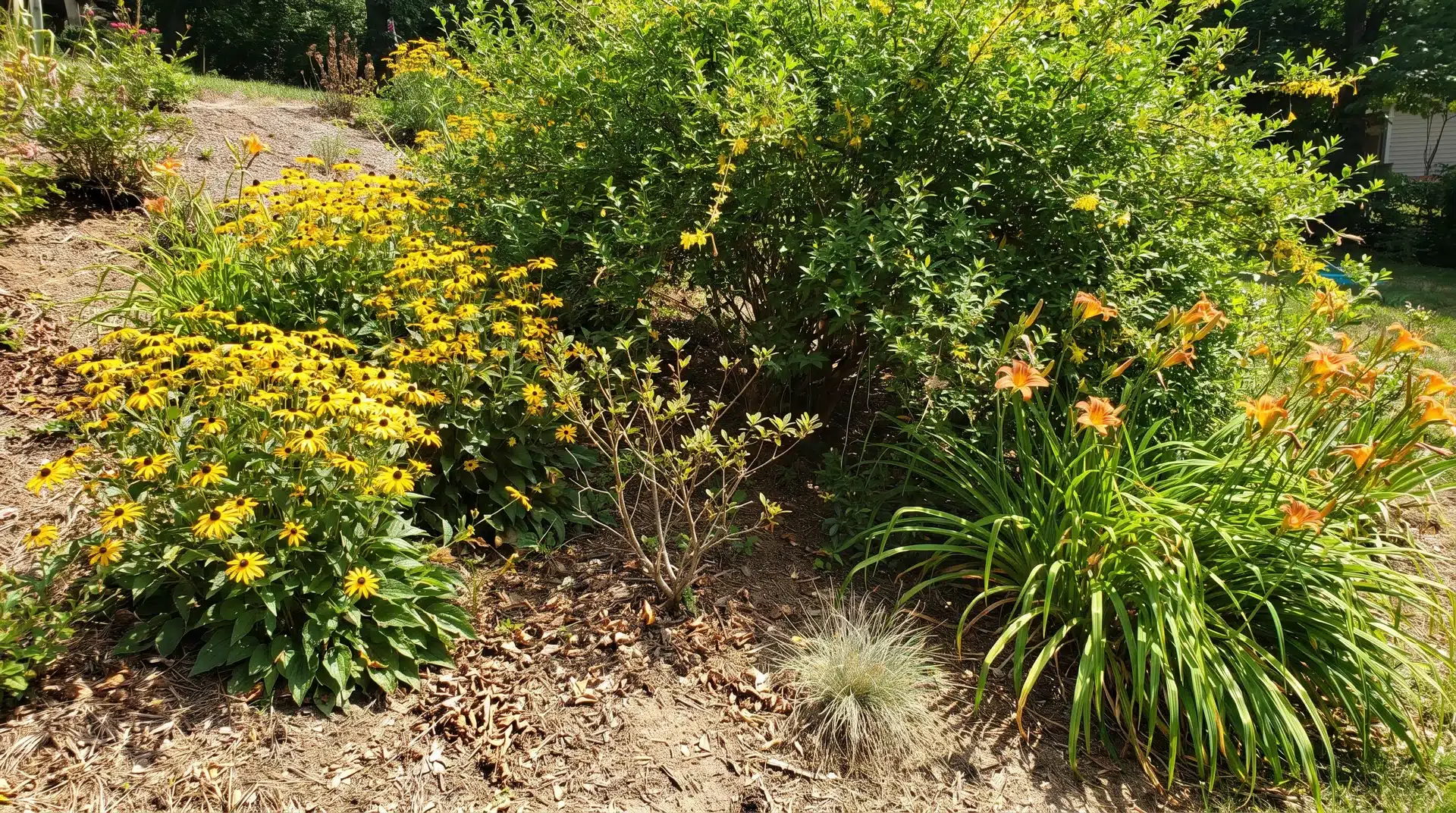 Fast-spreading plants beside slower growers showing plants to never plant together because of competition and overcrowding.