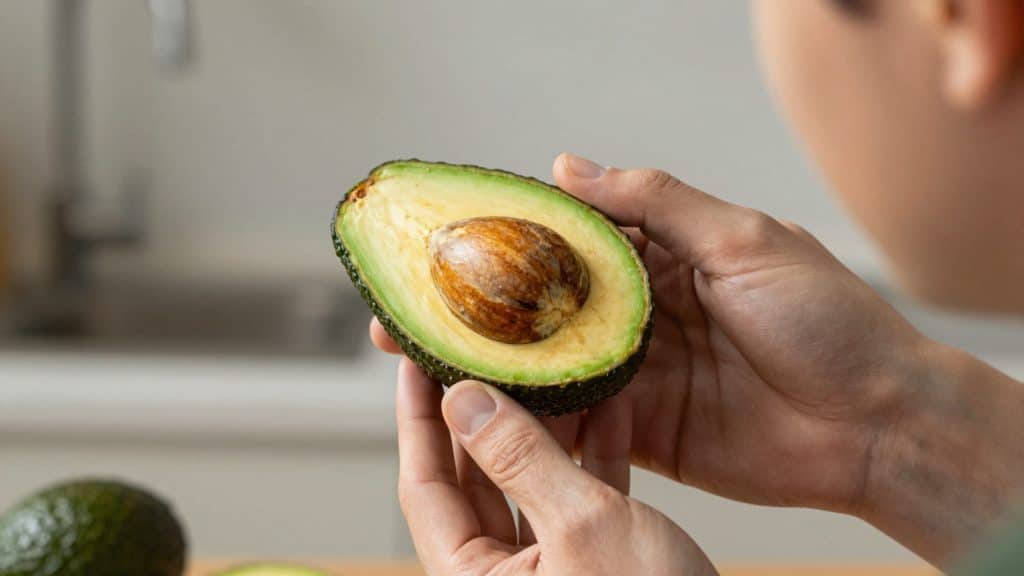 A close-up of someone inspecting the sprouting avocado seed with visible roots in water.