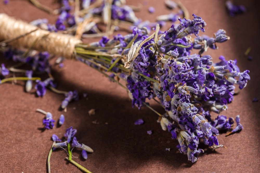 A close-up of a bundle of dried lavender (Lavandula angustifolia) tied with twine, with scattered lavender petals.