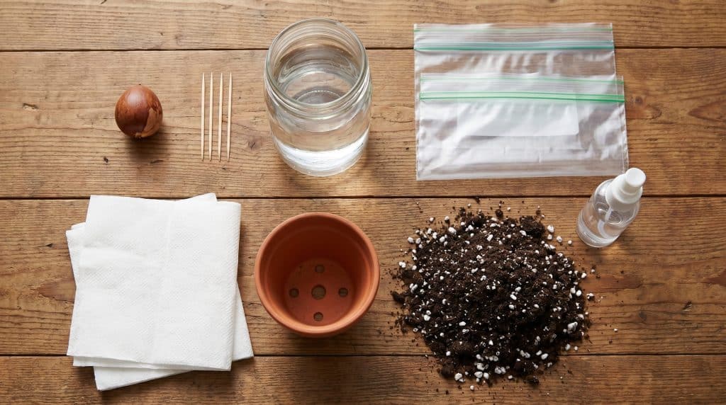 A flatlay of materials needed for growing an avocado plant, including a seed, toothpicks, a water jar, a pot, soil, and a spray bottle.