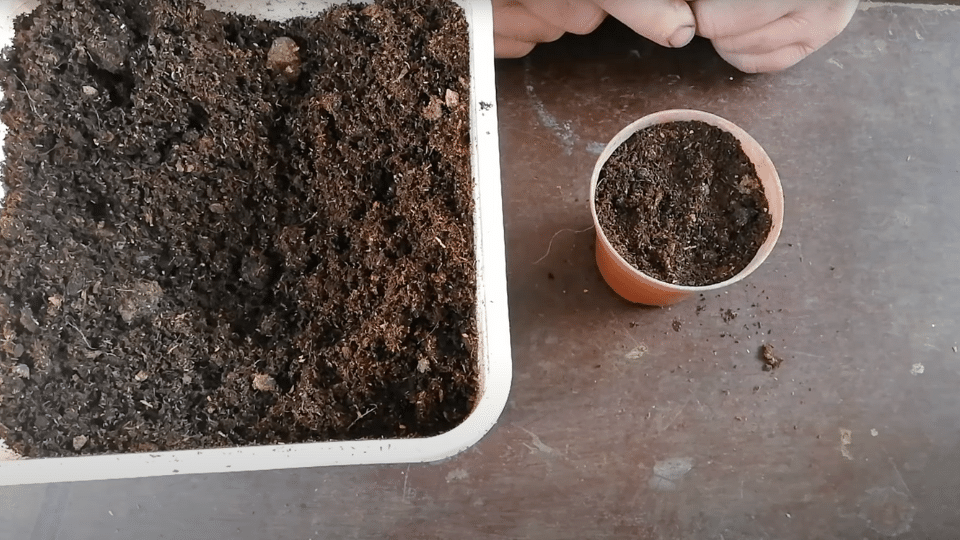Prepare-Small-Containers